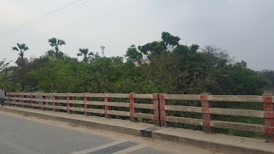 Photos of TMC