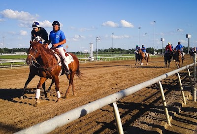 Indiana Grand Racing & Casino