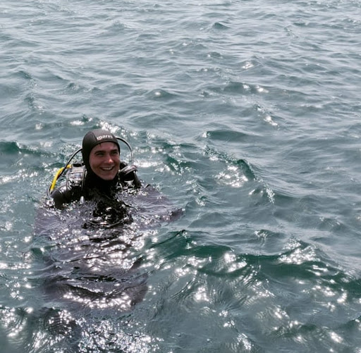 Dalgıç