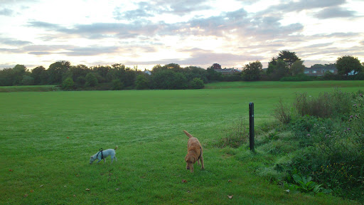 Learoyd Road Playing Fields - Visual