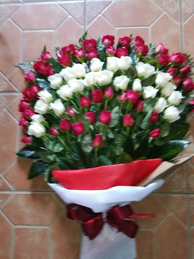 Photos of Florister&iacute;a Karly
