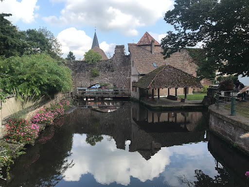 Espace culturel Moulin Pfister - Thumbnail