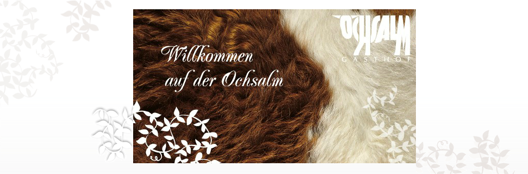 Gasthof Ochsalm — photo 4
