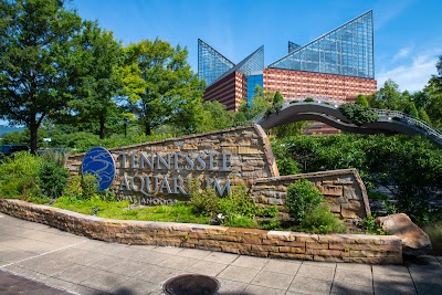 Tennessee Aquarium