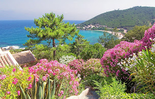 Photo n°23 de Marco Tarco Immobilier à Conca (Agence immobilière)