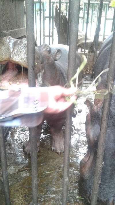 Photos of The Zoo