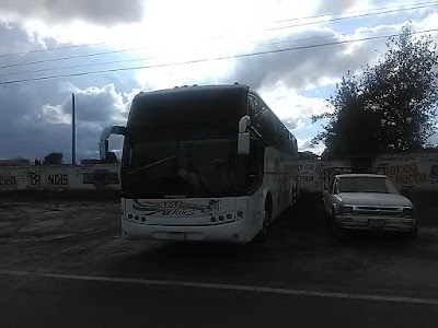 Photos of 2020 Tours