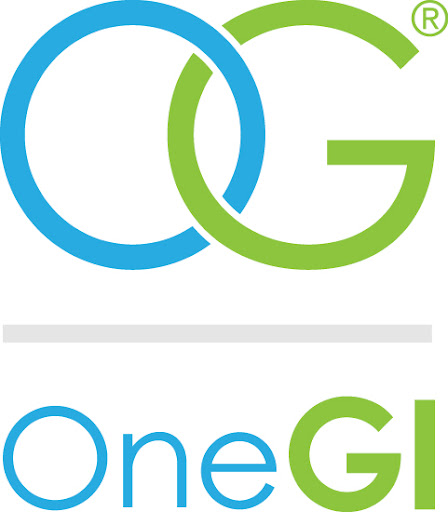 One GI - Visual