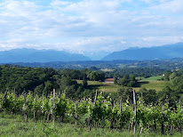 Domaine Haugarot - Vin de Jurançon à Saint-Faust