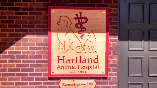 Hartland Animal Hospital: Shaughnessy Maureen DVM - Thumbnail