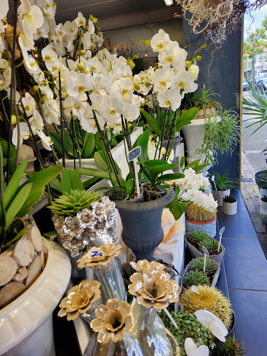 De Fleurs et d'Eau - Thumbnail