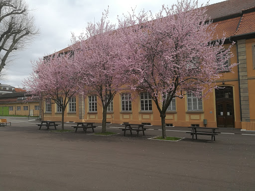 School Jean De Pange Gallery - France