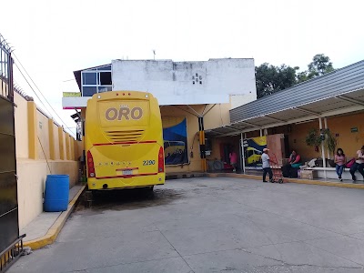 Photos of Autobuses Oro