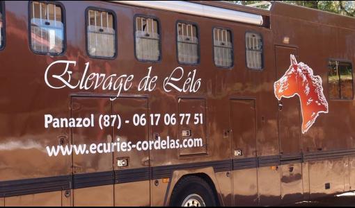 Photo de Cheval 87 Ecurie Villa Maria à Linards (87130)