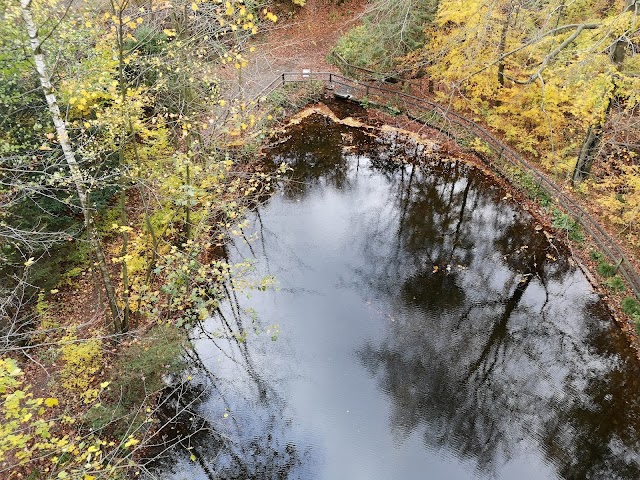 Baumwipfelpfad Harz