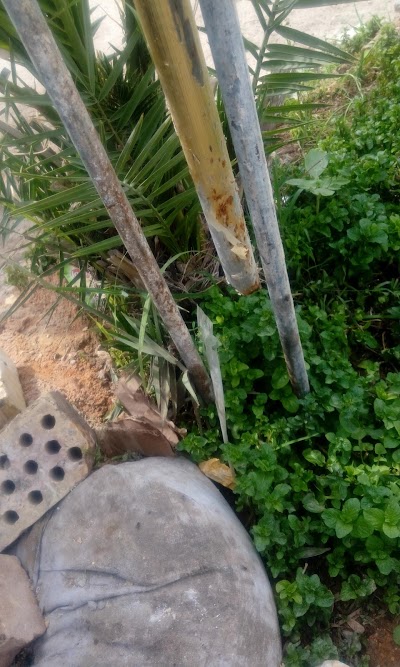 Photos of Mutanabi neighborhood park