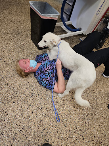 Valley View Veterinary Hospital