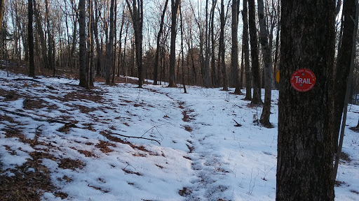 Stissing Mountain Multiple Use Area - Thumbnail
