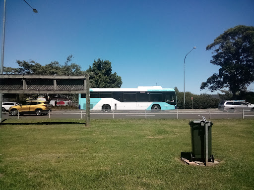 Public Reserve - Thumbnail