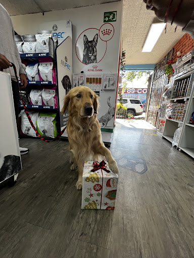 Veterinaria en Coyoacan El Señor y la Señora Xolotl