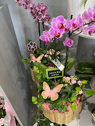 Photo n°12 de Vos Instants Fleuris à Roeulx (Fleuriste)