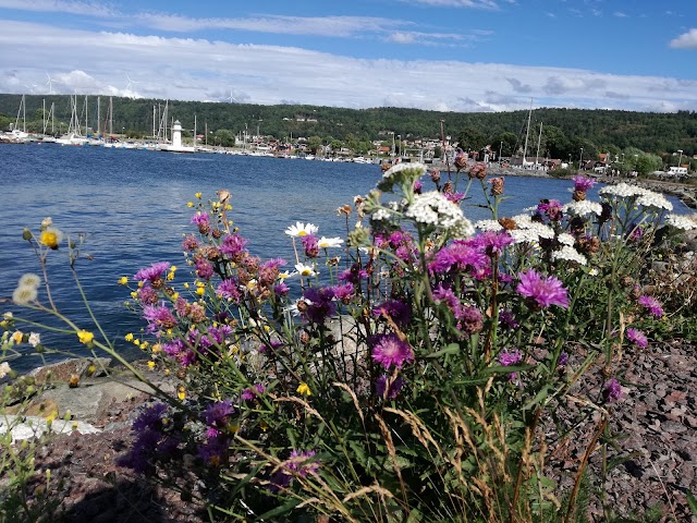 Gränna hamn