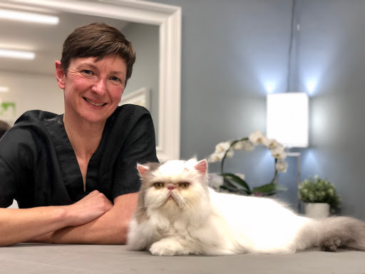 Welsh Grooming Academy