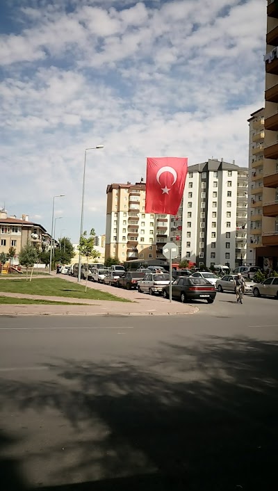 Basketball court