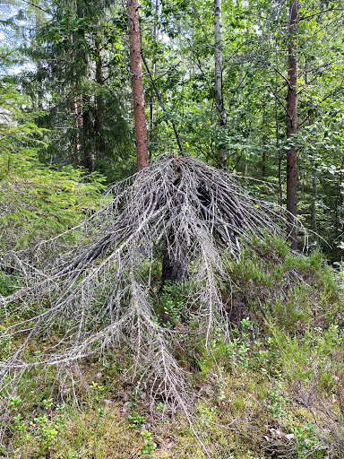 Starten till klintstigen Gallery - Sweden