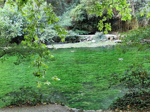 Fontaine de vaucluse - Canoé - Thumbnail