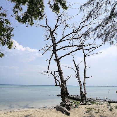 Photos of Wisata Edukasi Ikan Pari