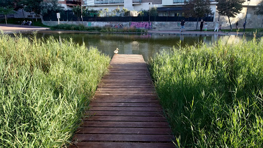 Llac dels Closos - Thumbnail