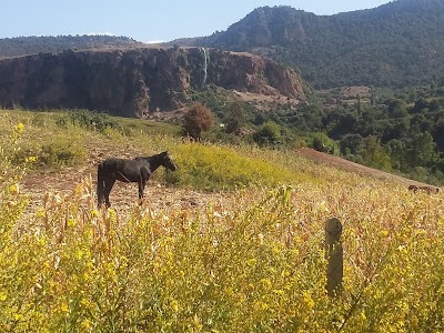 Photos of Zaouia d'Ifrane