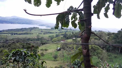 Photos of Cielo Verde