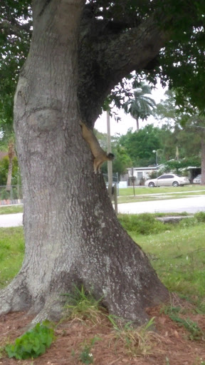 Indiantown Chamber of Commerce - Thumbnail