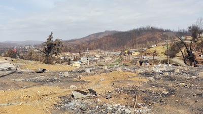 Photos of St. Olga Stadium