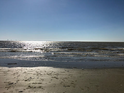 MESCHERS-SUR-GIRONDE - Vergnes Gallery - France