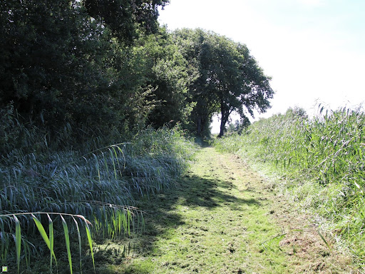 Uitweg van Portengen - Thumbnail