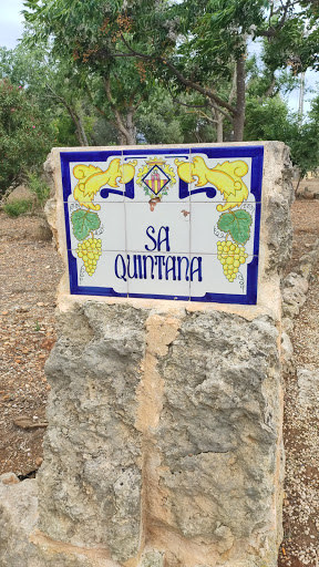 Parc de sa Quintana - Thumbnail