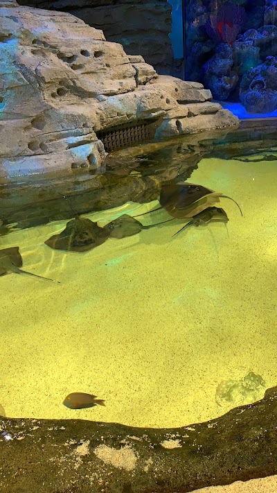 Aquarium at the Boardwalk