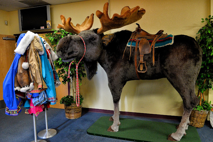 Bear and Raven Adventure Theater by null