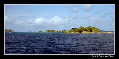 Photos of Sandy Island- cariacou