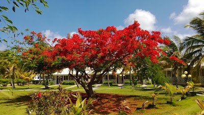 Photos of Anguilla Great House Beach Resort