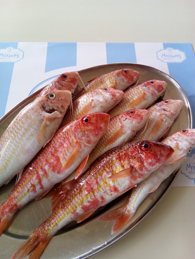 Babis Restaurant Aegina