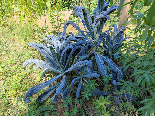 Genussgarten am Brettenbach - Thumbnail
