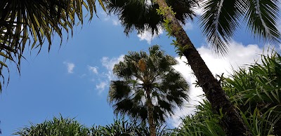 Photos of Arenal Ecological Park