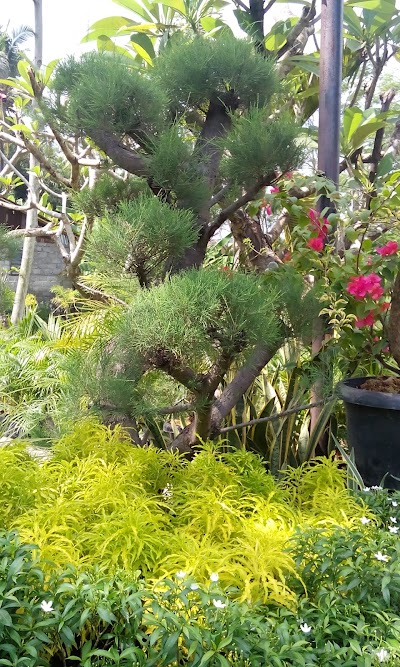 Photos of kurnia asri taman