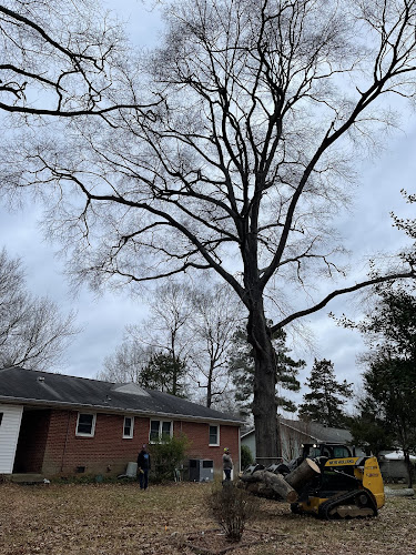 J & I Tree Service