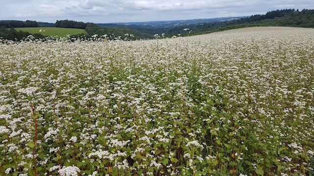 Le Lonzac