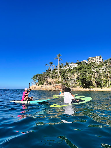 Green mango sup paddle tours